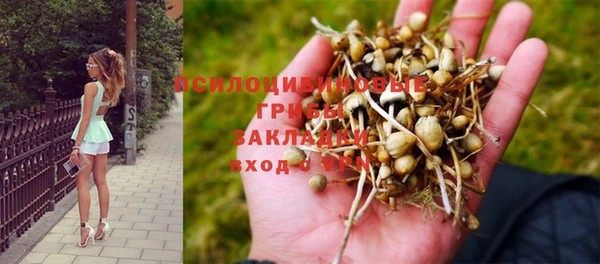 крисы Осташков