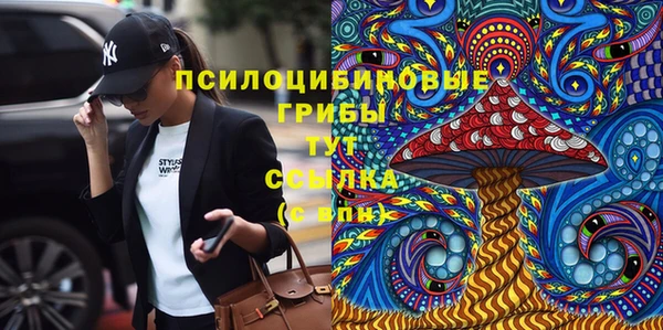 трава Осинники