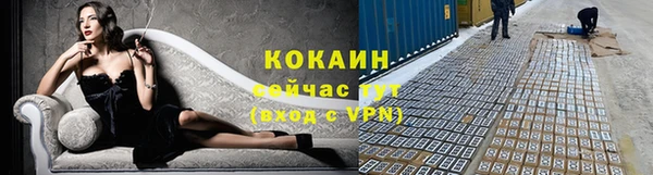 трава Осинники