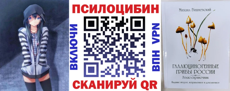 blacksprut зеркало Пучеж Псилоцибиновые грибы ЛСД